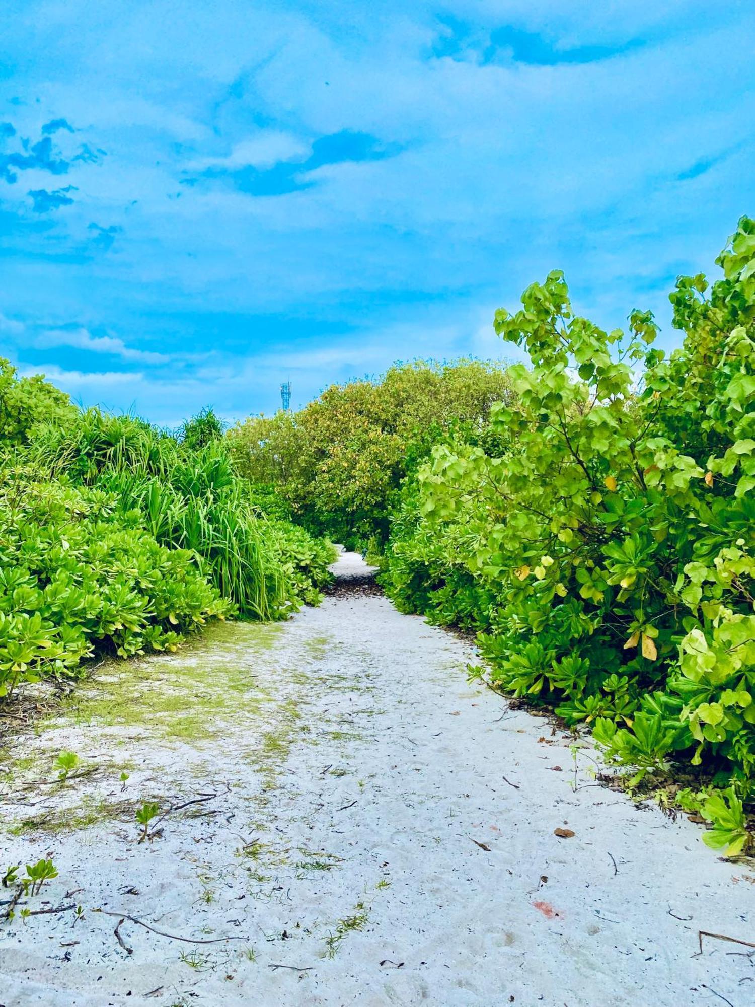 Oasis Village Fenfushi, Maldives Extérieur photo